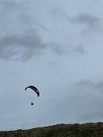 Parasailer