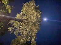 Zie de maan schijnt door de bomen (gisteravond)