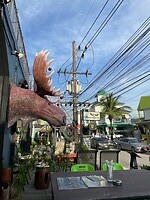 Moose bar