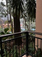 Tropische regenbui