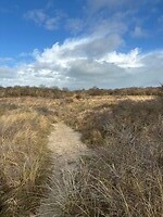 Het wandelpad richting wad