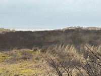 De zee bij Marlijn (in de verte)