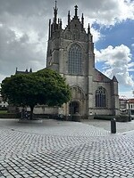 Basiliek