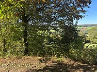 Wandeling