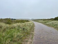 Wandelpad naar duinovergang