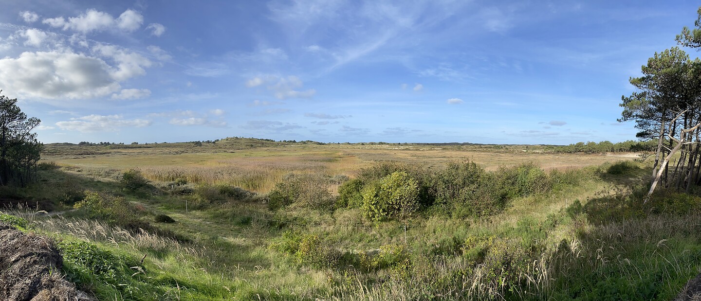 Natura 2000
