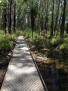 IMG_1110