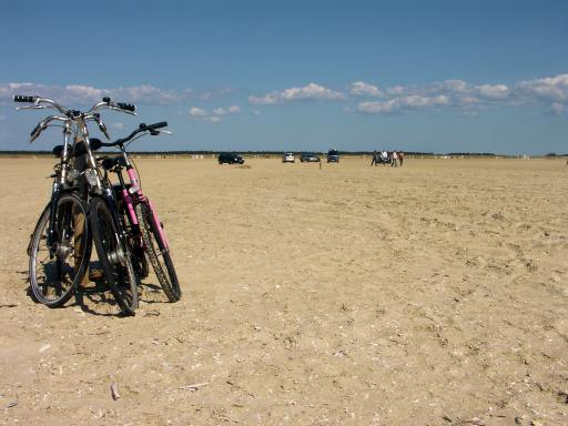 Romostrand 3 km breed