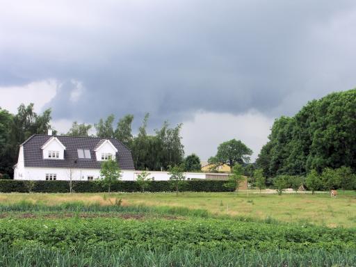 Voordeel, je zag ze aankomen!