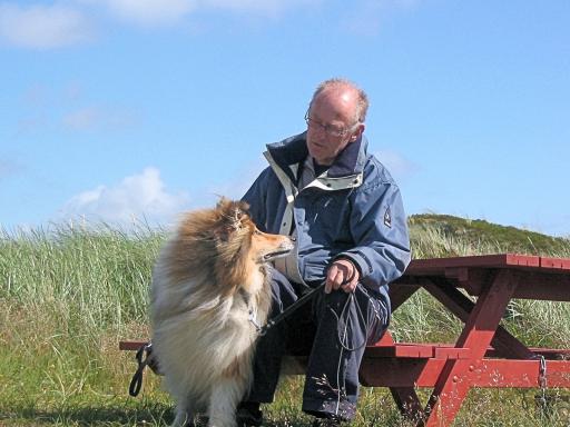 Mooi weer, in de duinen