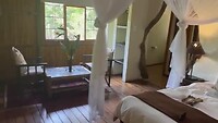 Moholoholo Forest Camp