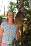 koala!!