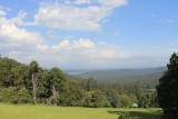 The Dandenongs