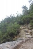 Wandelen