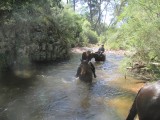 horse trail!