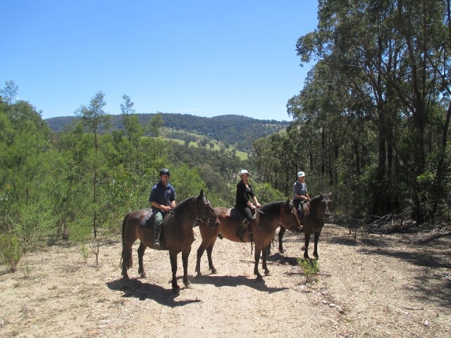 horse trail
