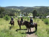 horse trail