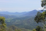rainforest cairns