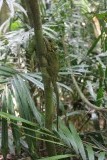 do you see him? :P