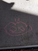 The frog