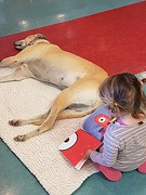 Reading to the dogs