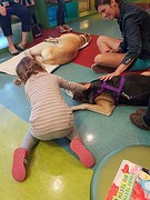 Petting the dog