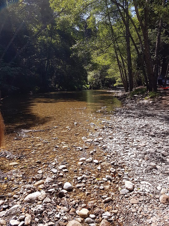 The campsite