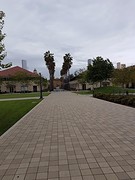 Stanford