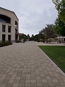 Stanford