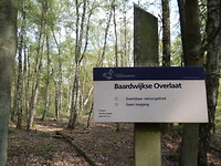 Brabantse Overlaat!