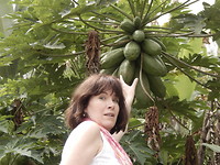 Papaya's!
