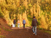 Prachtige wandeling!
