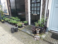 Leuk straatje!