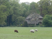 Mooie villa's!