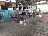 Kip in het restaurant onderweg ergens!