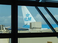 Naar huis!