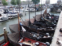 Zalmschouw!