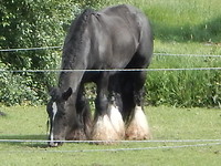Mooie sokken!