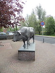 Dirk IV   1910-1920   Stamvader van de Fokveedag !
