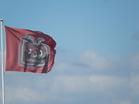 Vlag Loevestein!