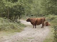 Met een omweg er langs!