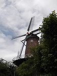De Koornbloem anno 1601