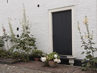 Stokrozen!