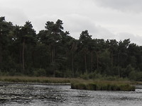 Klein Aderven, met heel veel waterlelies!