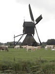 Uppelse waterwipmolen!