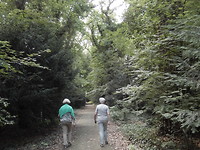 Rond 1820 aangelegd wandelpad!