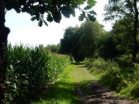 Langs de maisvelden!