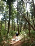 Mooi wandelpad!