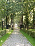 Statige laan met de eikenbomen!