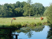Op het landgoed!